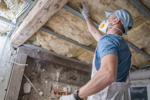 Best DIY Insulation Kits and Guidance in Sparks, TX