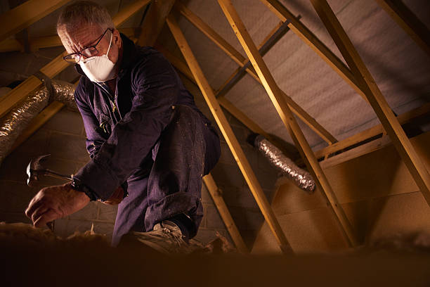 Best Eco-Friendly Insulation in Sparks, TX